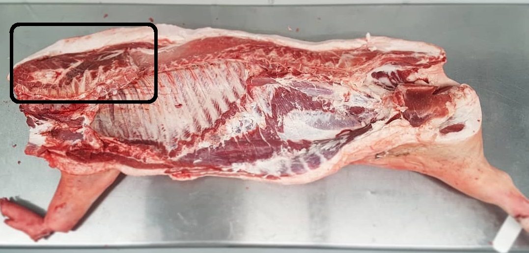 Poaka Free Range Pork Shoulder Roast - Ribeye image 1