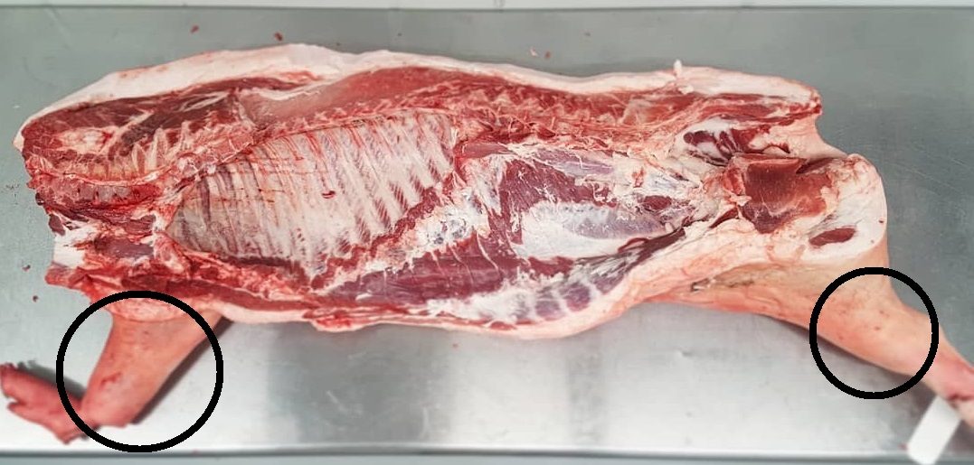 Poaka Free Range Pork Hock image 1