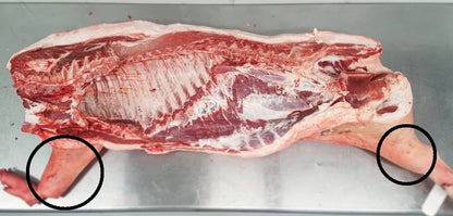 Poaka Free Range Pork Hock image 1