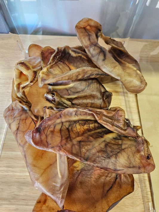 Free range pig ear