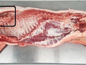 Poaka Free Range Pork Shoulder Roast – Ribeye